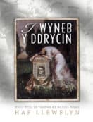 I Wyneb y Ddrycin - Haf Llywelyn