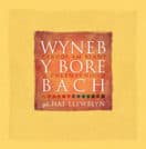 Wyneb y Bore Bach