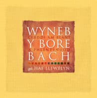 Wyneb y Bore Bach