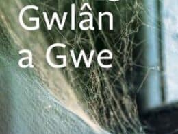 Clawr Rhwng Gwlân a Gwe